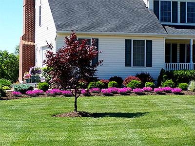 Landscape Design