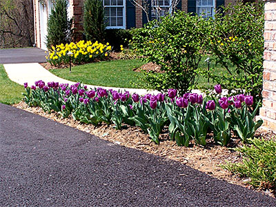 Landscaper Frederick, MD